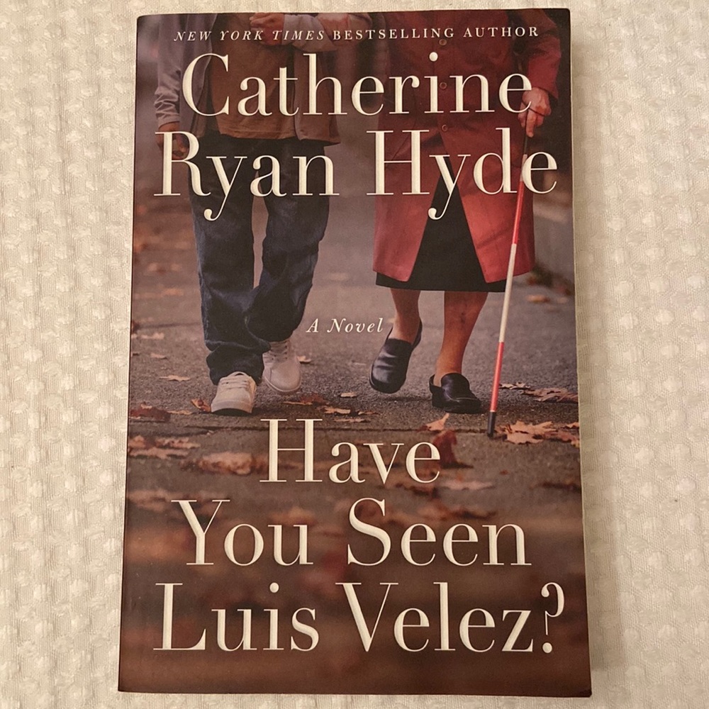 HAVE YOU SEEN LUIS VELEZ? A Novel Catherine Ryan Hyde Paperback Book - Picture 7 of 7